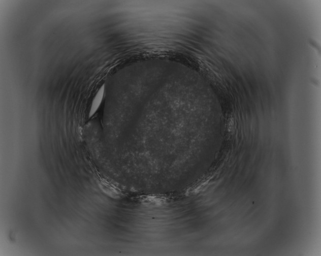 X0000091700868200709210920