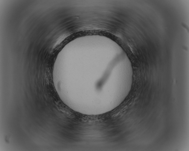 X0000091700871200709210920