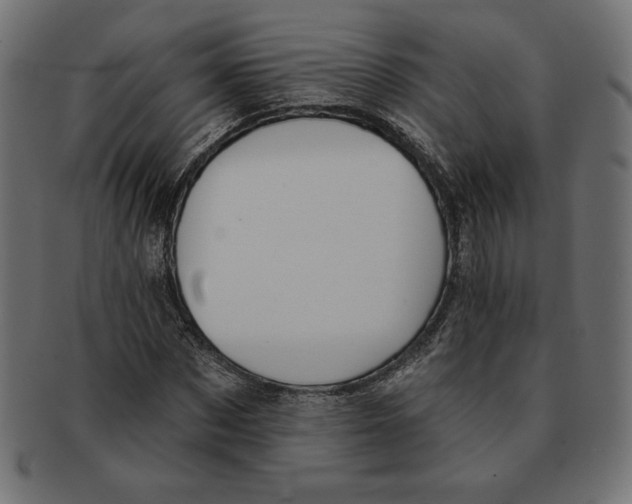 X0000091700873200709210920