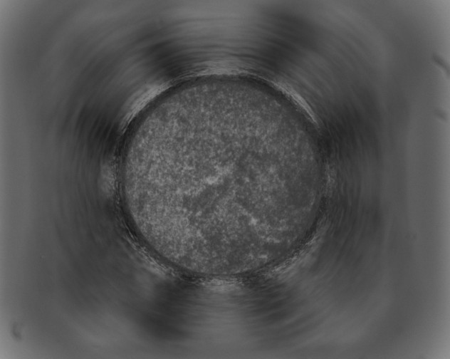 X0000091700874200709210920