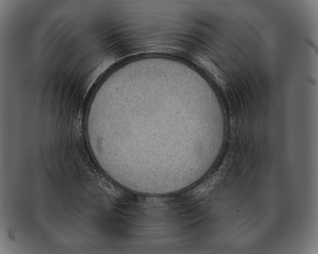 X0000091700875200709210920