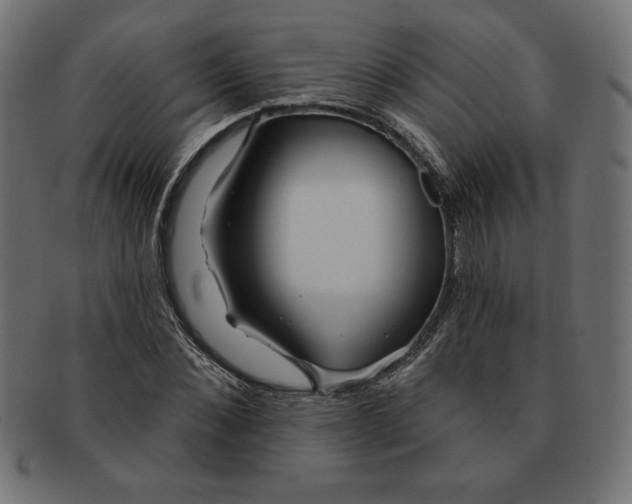 X0000091700876200709210920