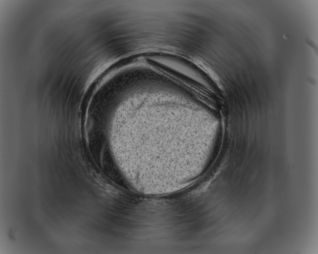 X0000091700877200709210920