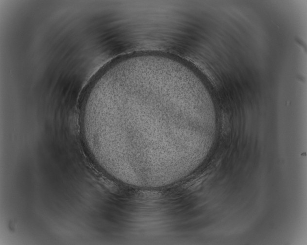 X0000091700878200709210920