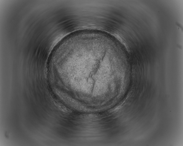 X0000091700879200709210920