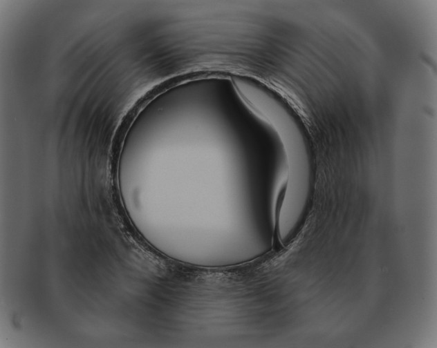 X0000091700880200709210920