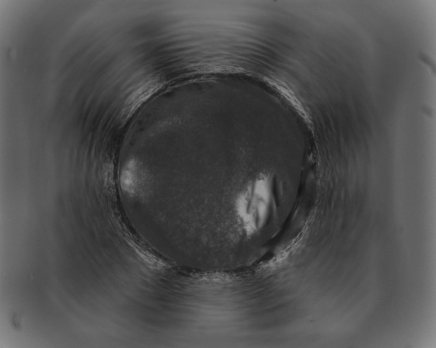 X0000091700881200709210920