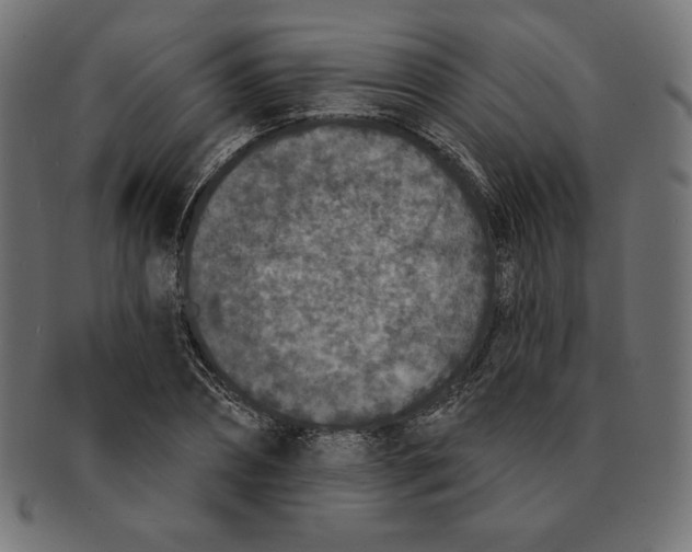 X0000091700882200709210920