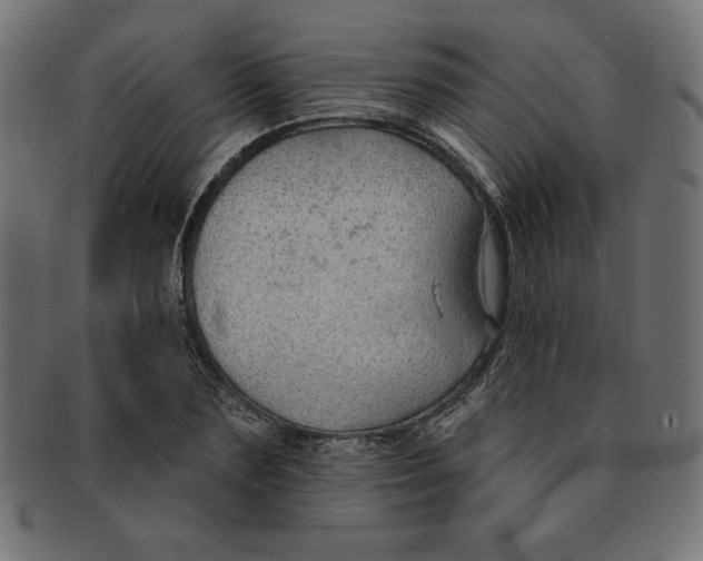 X0000091700883200709210920