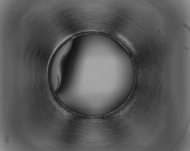 X0000091700884200709210920