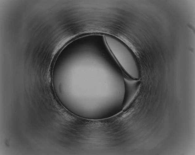 X0000091700885200709210920