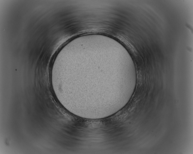 X0000091700886200709210920