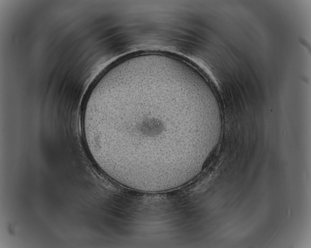 X0000091700887200709210920