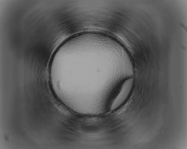 X0000091700891200709210920