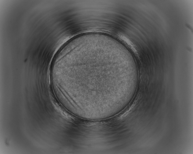 X0000091700892200709210920