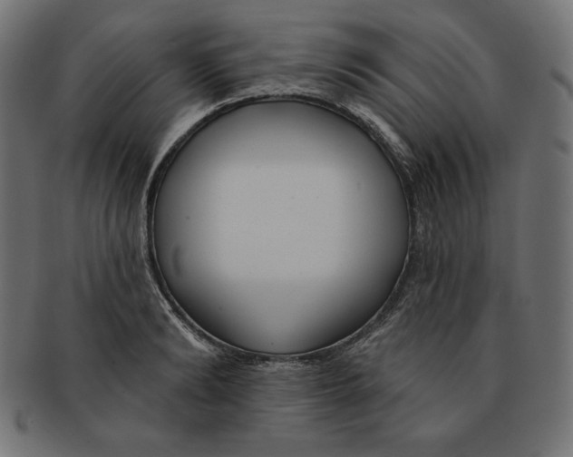 X0000091700894200709210920