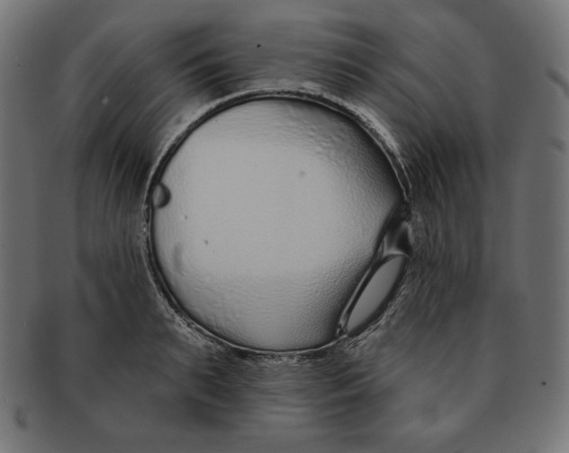 X0000091700895200709210920