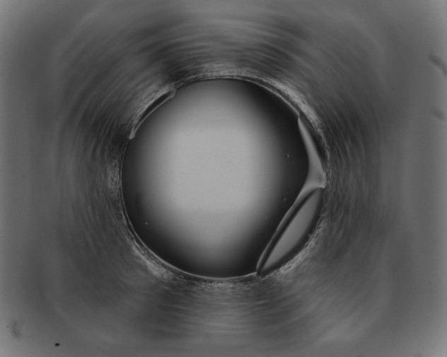 X0000091700897200709210920