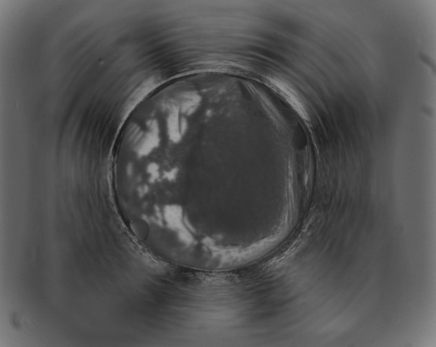 X0000091700899200709210920