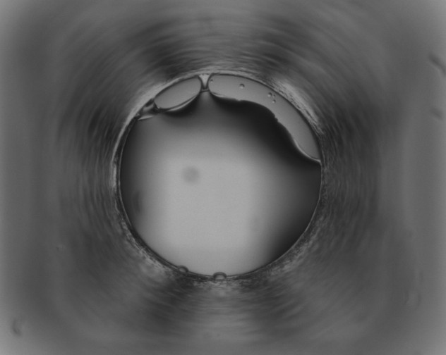 X0000091700900200709210920