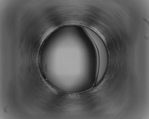 X0000091700901200709210920