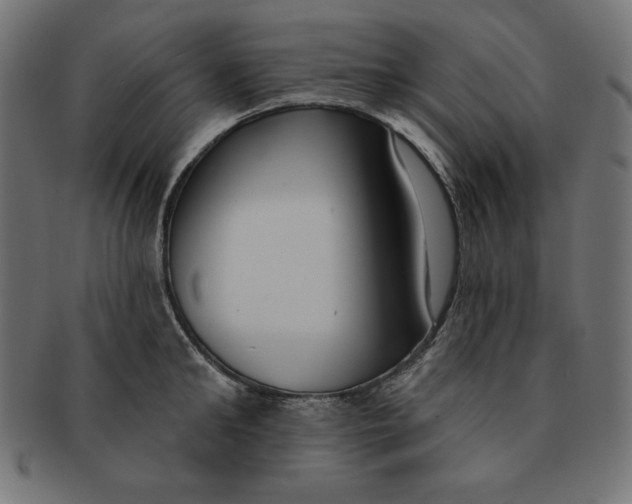 X0000091700902200709210920