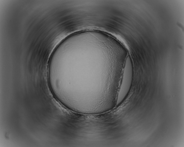 X0000091700903200709210920