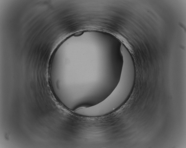 X0000091700904200709210920