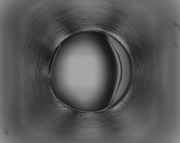 X0000091700905200709210920