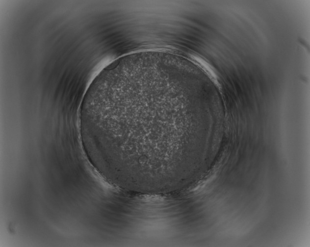 X0000091700907200709210920