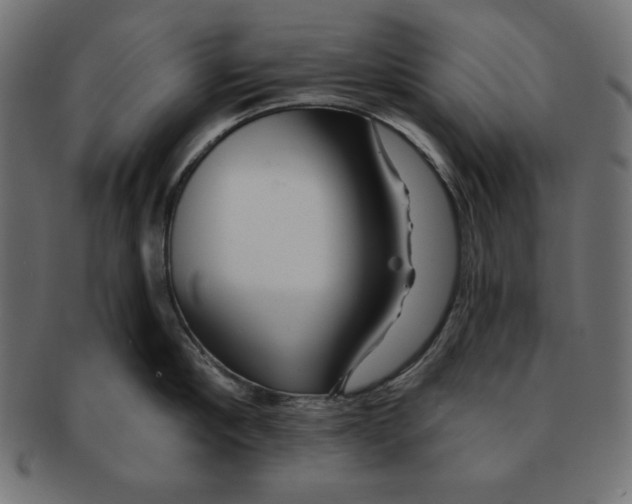 X0000091700910200709210920