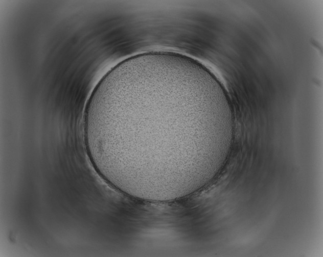 X0000091700911200709210920