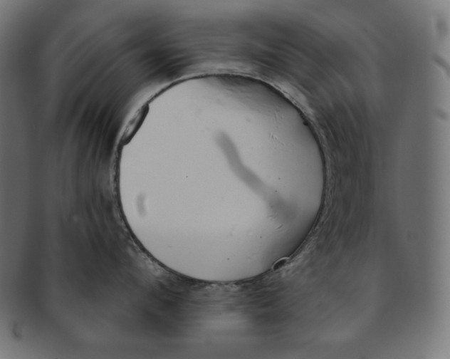 X0000091700912200709210920