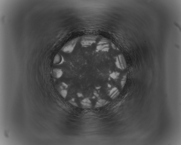 X0000091700913200709210919