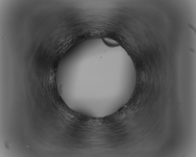 X0000091700914200709210919