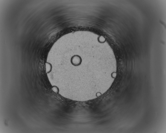 X0000091700918200709210919