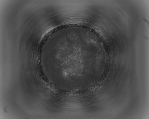 X0000091700920200709210919