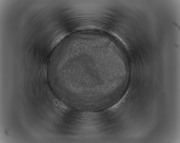 X0000091700921200709210919