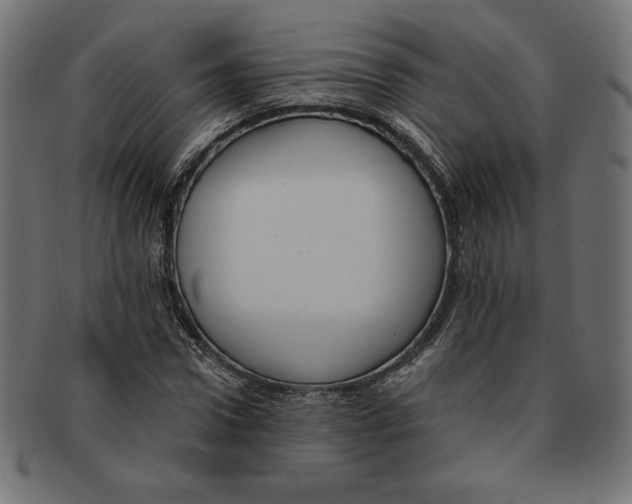 X0000091700922200709210919