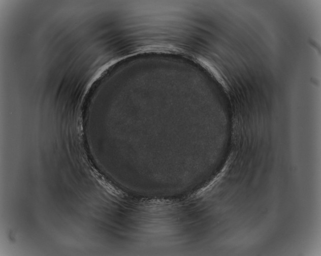 X0000091700923200709210919