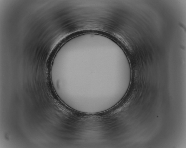 X0000091700926200709210919