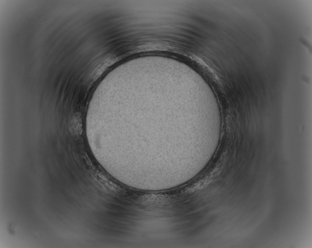 X0000091700929200709210919