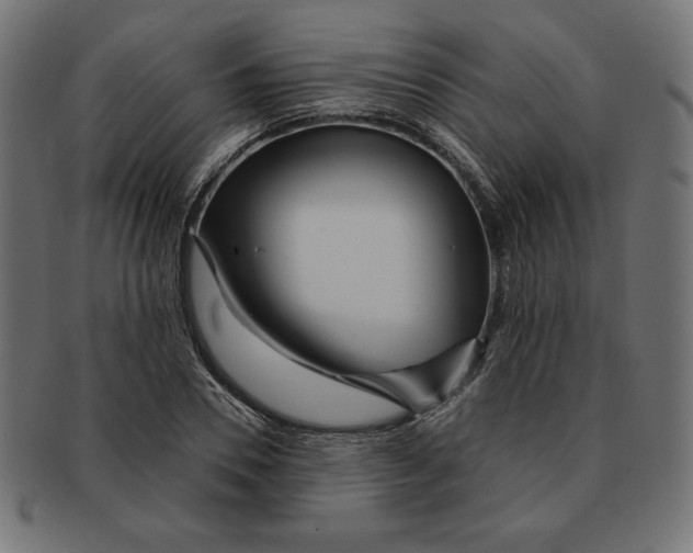 X0000091700930200709210919