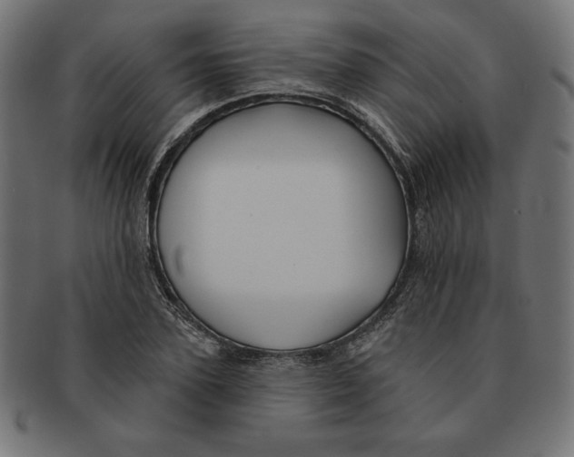 X0000091700931200709210919