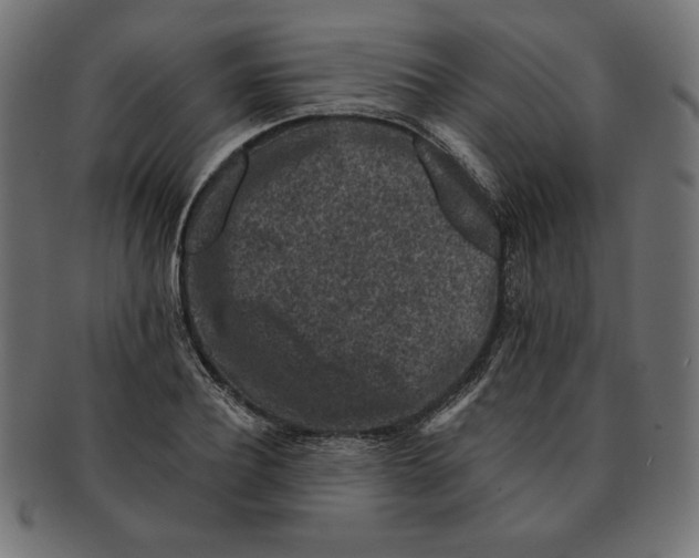 X0000091700932200709210919