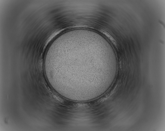 X0000091700933200709210919