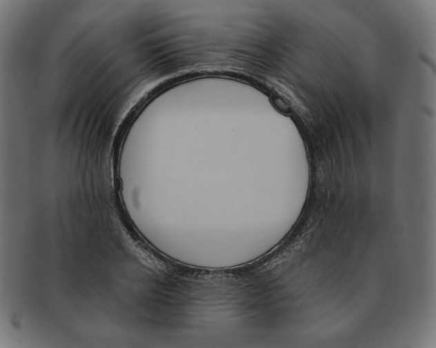 X0000091700934200709210919