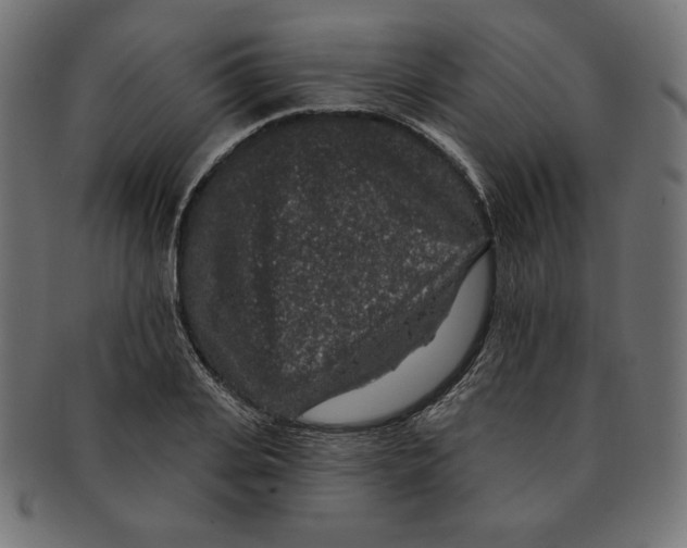 X0000091700935200709210919