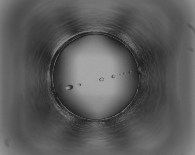 X0000091700936200709210919