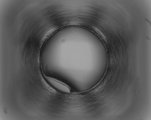 X0000091700938200709210919